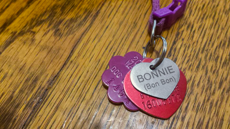 BonniePomchi-Dog-Tags